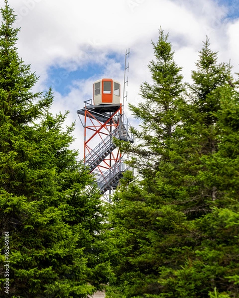 Fototapeta A fire tower with large green trees in the foreground.