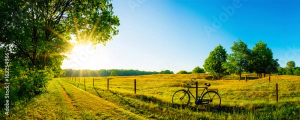 Fototapeta Krajobraz w lecie z drzewami i łąkami w jasnym słońcu