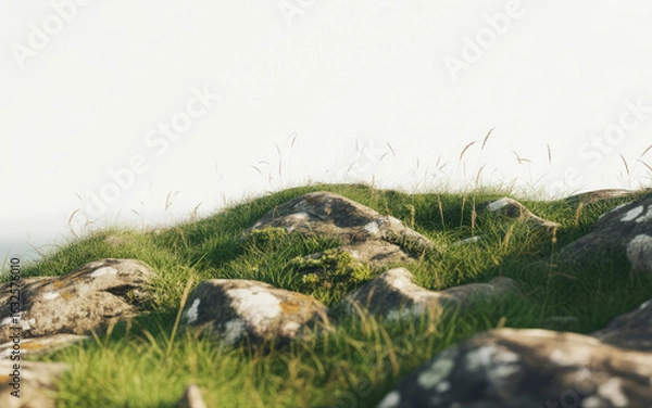 Fototapeta Grassy Hillside with Rocks and Sparse Vegetation green grass