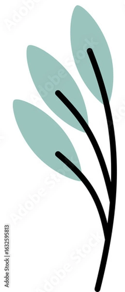 Obraz simple floral botanical flower vector 