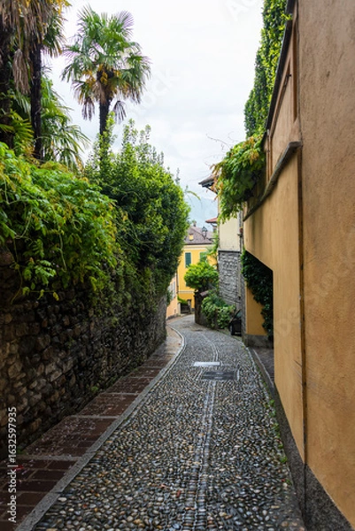 Fototapeta A narrow road paved with round stones after the rain descending downwards with bright yellow buildings and a lots of greenery in Menaggio, Lombardia, Italy