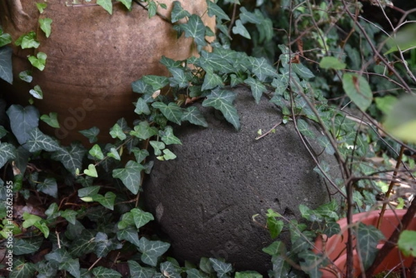 Fototapeta Steinkugel im Efeu