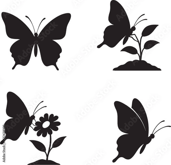 Fototapeta butterfly silhouette ,perched butterfly,
insect on flower ,butterfly wings ,Black and white Silhouette 