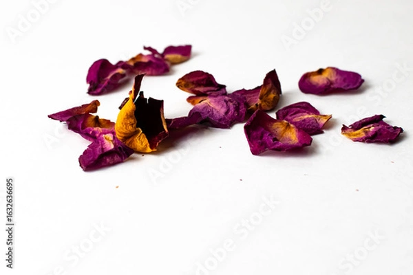 Fototapeta Rose petals on a white background. Their is a lot of copy space on this image. 