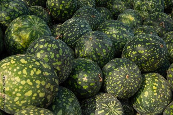Fototapeta A large group of fresh green watermelons with spotted rinds, stacked closely together. Perfect for illustrating organic farming, summer fruits, or healthy lifestyle concepts