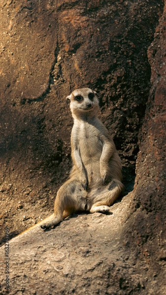 Fototapeta naturaleza 