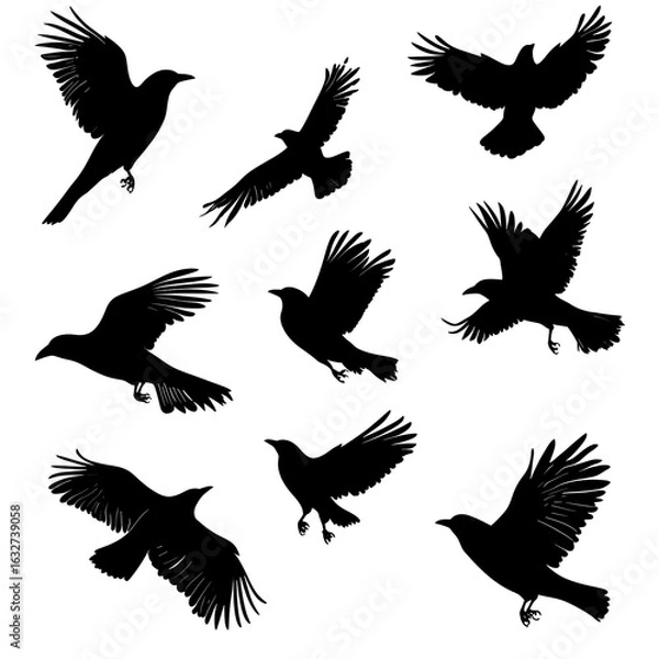 Obraz Abstract Winged Design Elegant Feather Strokes on Black Background