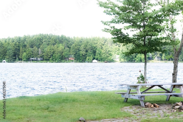 Obraz calm lake life