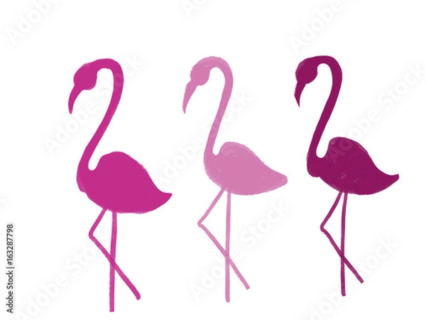 Fototapeta Colorful drawn bright flamingos for greeting card or advertisement on white background, isolated cartoon illustration painted by pencil chalk on white background, high quality