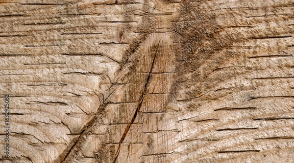 Obraz Brown wood texture background details.