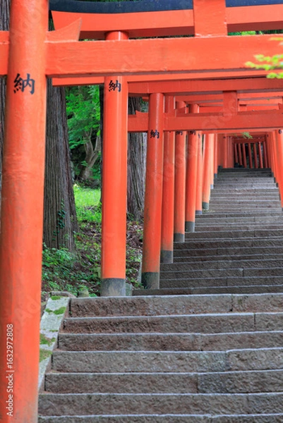Fototapeta 有子山稲荷神社　出石城