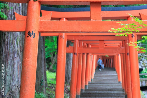 Fototapeta 有子山稲荷神社　出石城