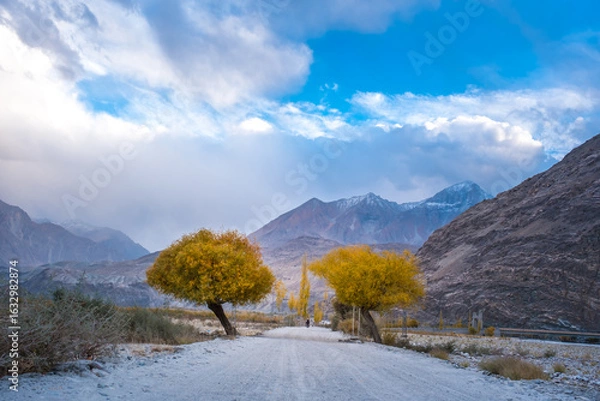 Fototapeta Dirt road between the autumn trees on the way to Hushe valley and Gasherbrum glacier in the karakoram mountains range