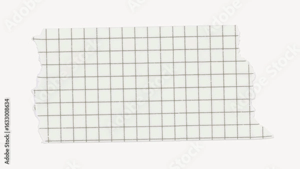 Obraz Grid washi tape, torn paper design