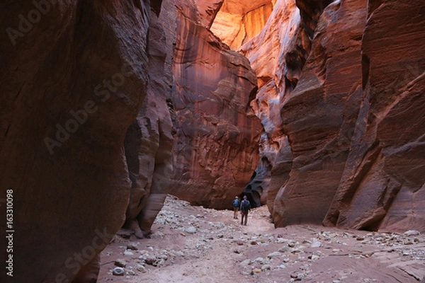Fototapeta Two hikers dwarfed by Buckskin Gulch, located in southern Utah, it is one of the longest slot canyons in the world..