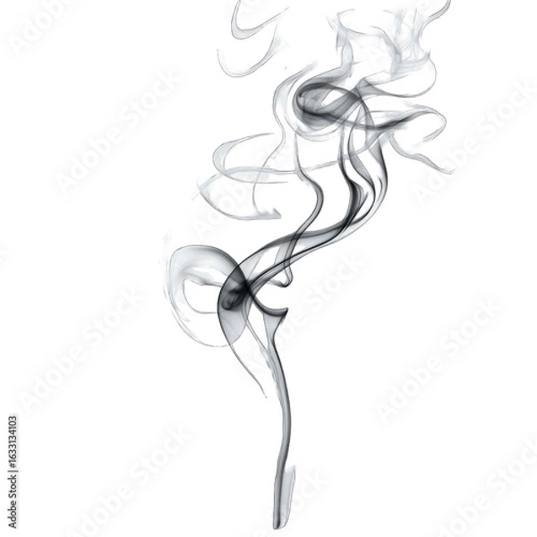 Fototapeta Abstract grayscale image of swirling smoke resembling a stylized plant or creature