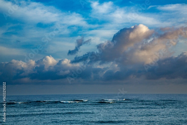 Obraz 奄美大島の夏。