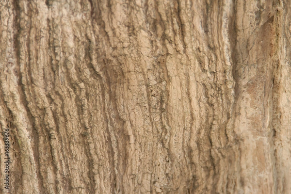 Fototapeta Striped stone texture