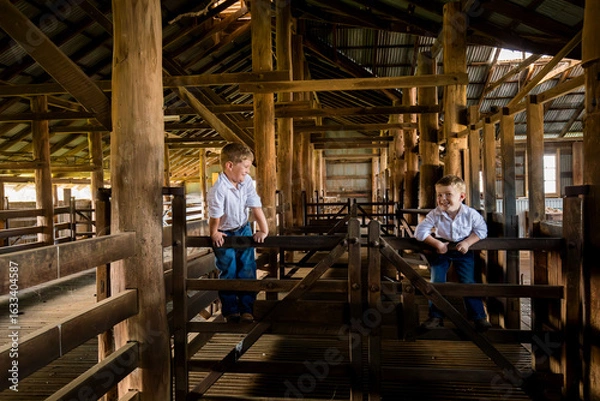 Fototapeta Happy brothers in rustic Australian shearing shed on farm