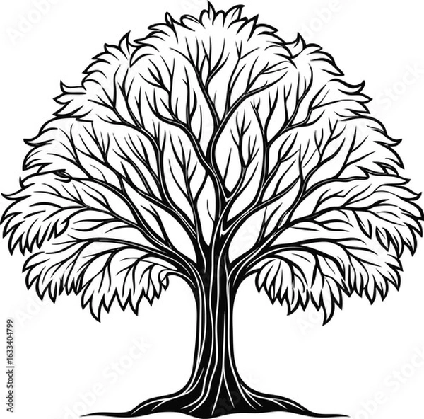 Fototapeta Black tree outline isolated on white background vector illustration