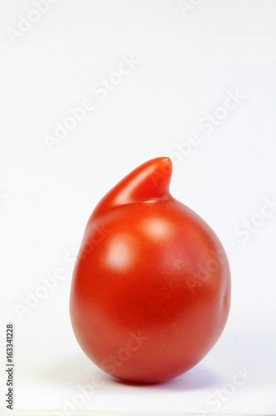Obraz Standing nosy tomato