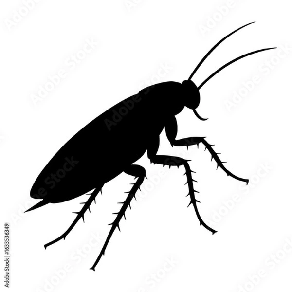 Obraz silhouette of a cockroach