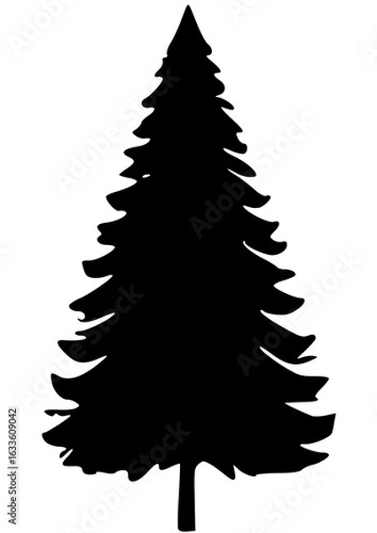 Obraz christmas tree isolated