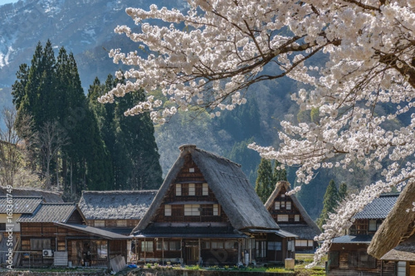 Fototapeta 世界遺産五箇山菅沼集落の春景色