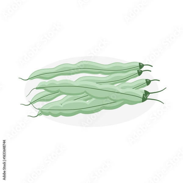 Fototapeta Fresh green bean vegetable icon vector illustration designed in a cartoon flat style. Healthy food concept design. Phaseolus vulgaris L.