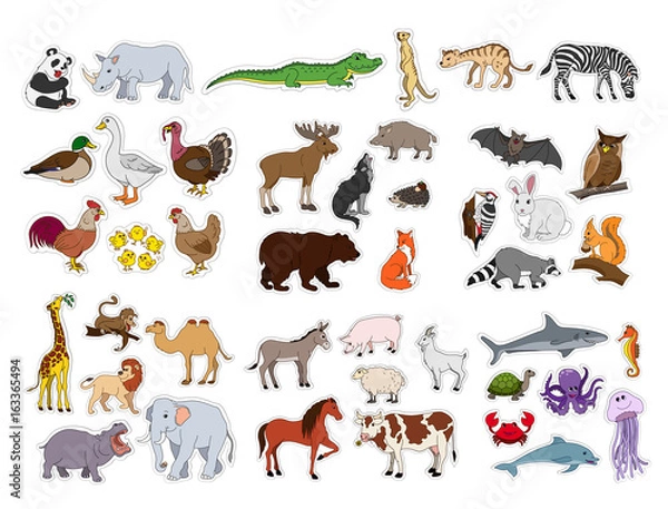 Fototapeta Big animals set, illustration with animals collection isolated on white background