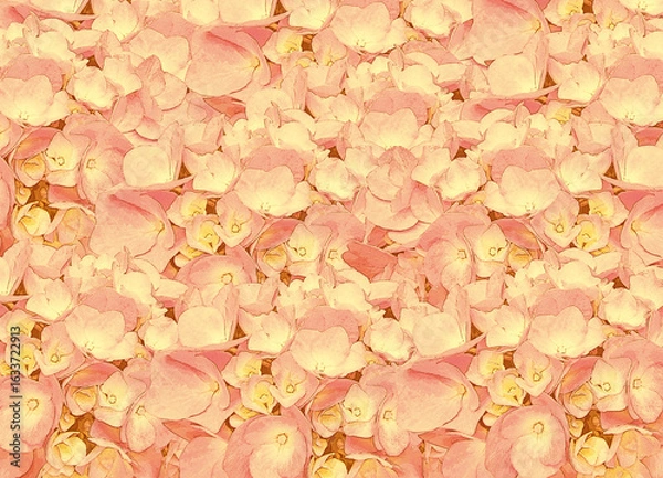 Fototapeta Warm Orange Hydrangea Floral Texture Background