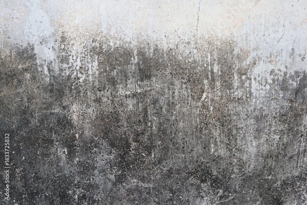 Fototapeta close-up view of an old, weathered concrete wall. 