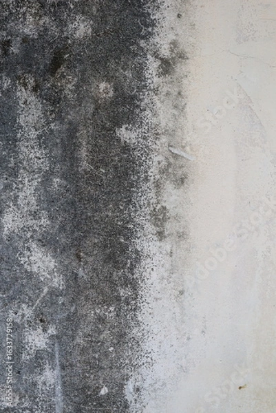 Fototapeta close-up view of an old, weathered concrete wall. 