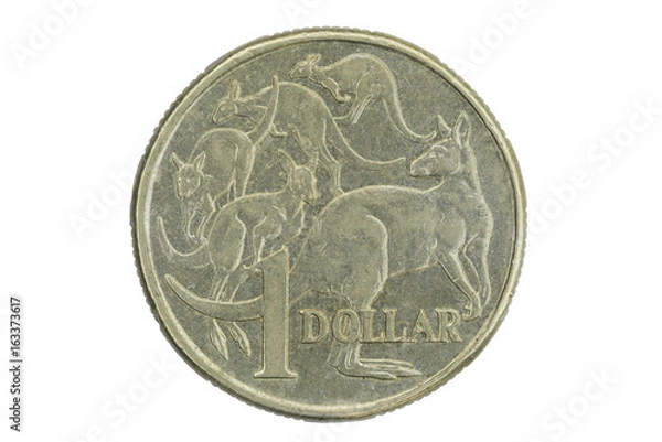 Obraz Extreme Macro detail of One Australian Dollar coin isolated on white background - Golden kangaroos
