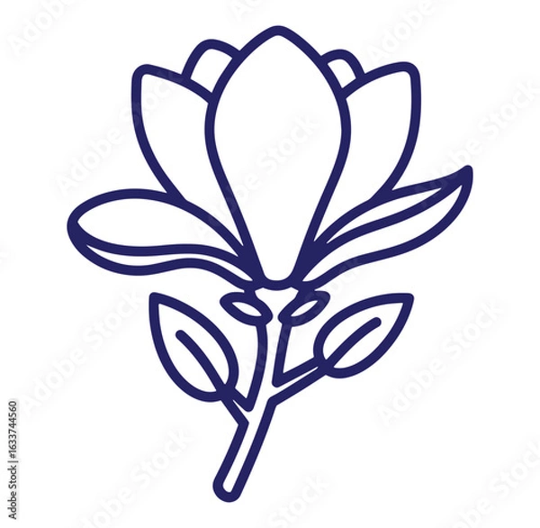 Fototapeta Elegant blue line art illustration of a magnolia flower isolated on white background