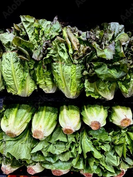 Fototapeta Lettuce on display