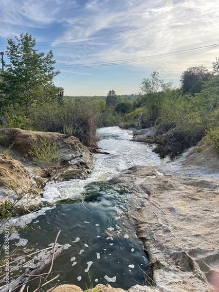 Obraz River Flowing in Forest