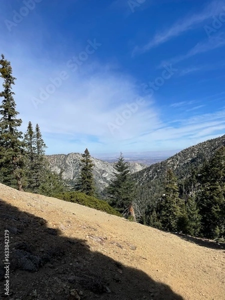 Obraz The Cucamonga Wilderness