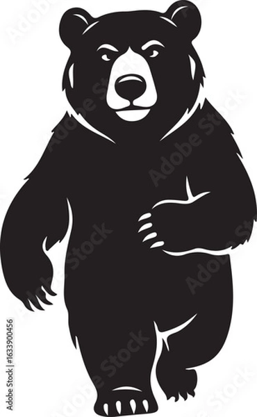 Fototapeta A black bear walking forward in a graphic illustration