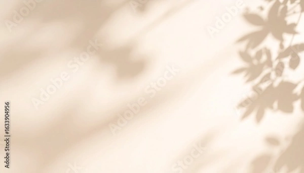 Fototapeta Soft beige background with natural leaf shadows and warm ambient lighting.

