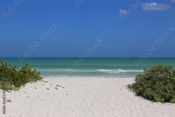 Obraz Beach with white Sand