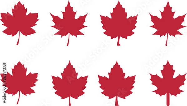 Fototapeta red maple leaf set vector