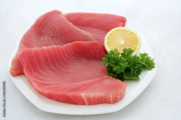 Obraz Thunfisch