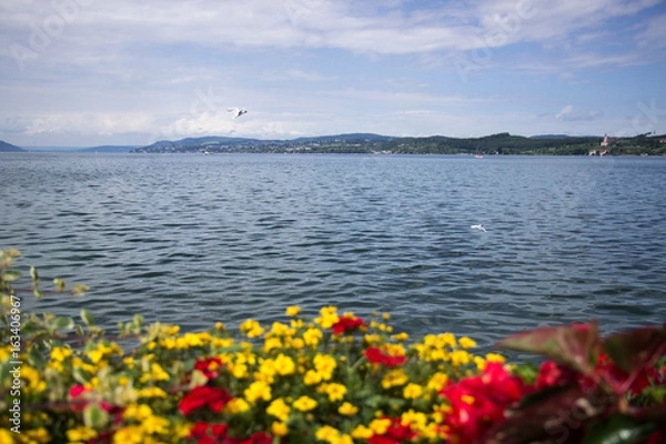 Obraz Blick vom Bodensee im Sommer