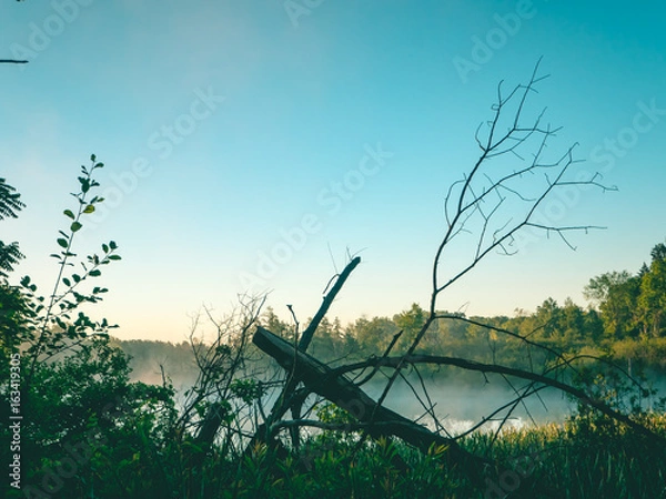 Obraz Sticks in the Grass