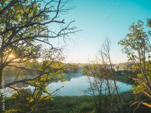 Obraz The Lake in the Trees