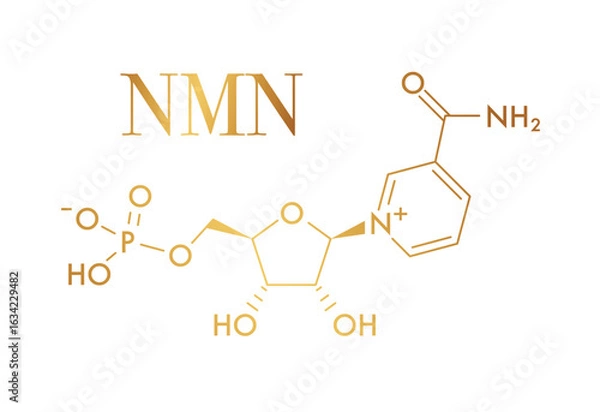 Fototapeta Molecular structure of NMN (Nicotinamide Mononucleotide) showing phosphate group, ribose sugar, and nicotinamide base. gold