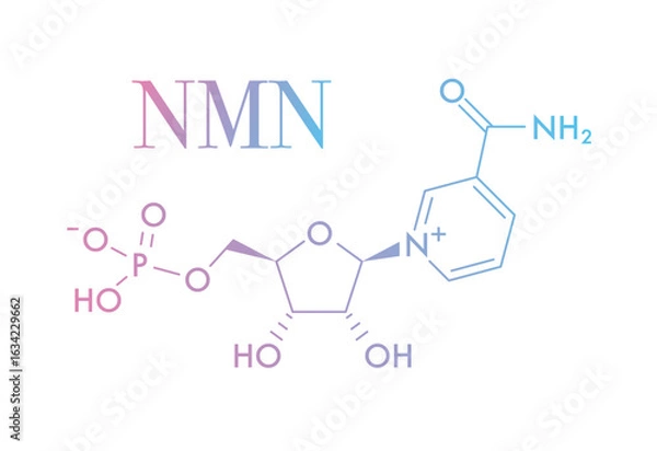 Fototapeta Molecular structure of NMN (Nicotinamide Mononucleotide) showing phosphate group, ribose sugar, and nicotinamide base. pastel color