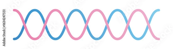 Fototapeta Pink and light blue wavy lines. Vector. Lines. Waves. Intersecting.