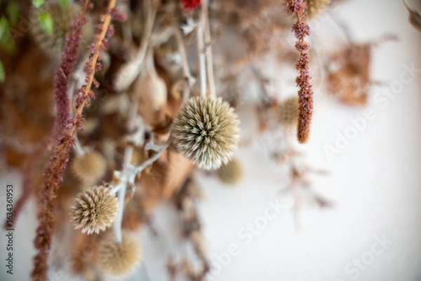 Obraz ドライフラワーのある暮らし